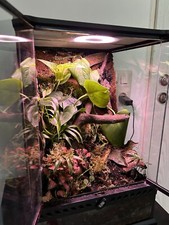 terrarium glas