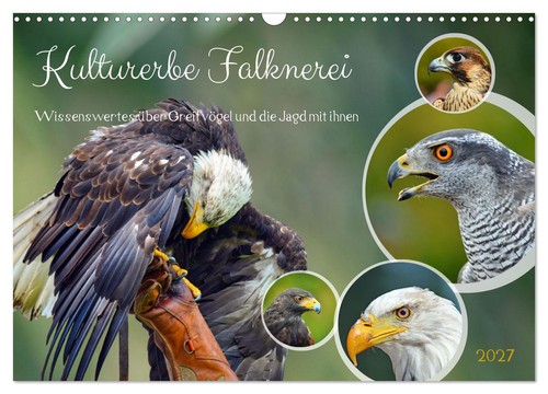 Kulturerbe falknerei - kulturerbe,