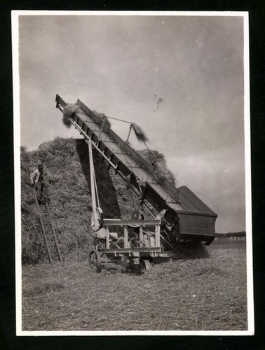 Fotografie heuernte - fotografie,