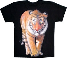 T-Shirt Shirt vorn farbig