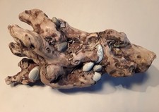 Schwemmholz Treibholz Unikat 45 Cm 