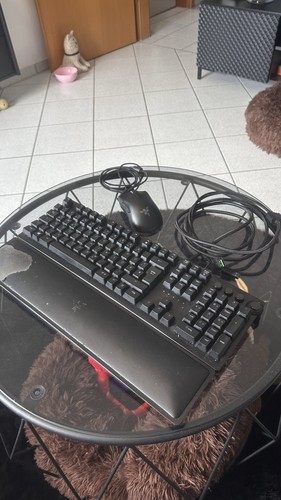 Rgb razer huntsman - huntsman, +