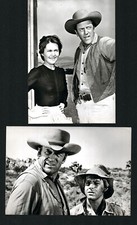 RAUCHENDE COLTS 2 PRESSEFOTOS