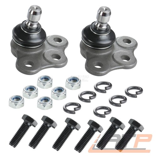 Traggelenk vorne unten - traggelenk,