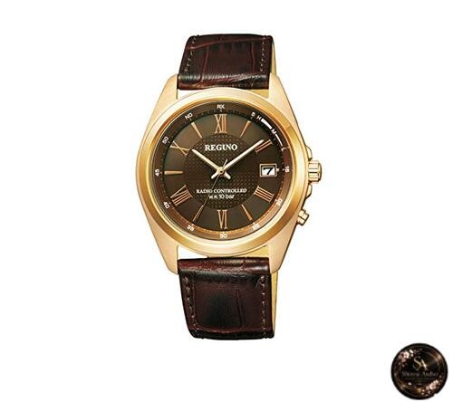 Citizen legno solar funkuhr - solar,