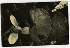 Foto K.u.k Kriegsmarine S.M.S