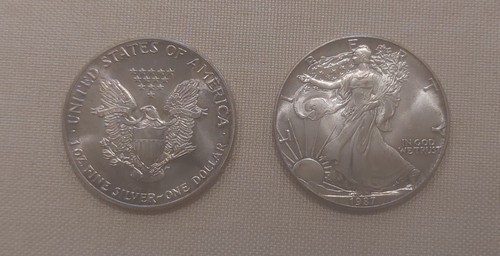 One silver dollar 1987 - 1.oz,