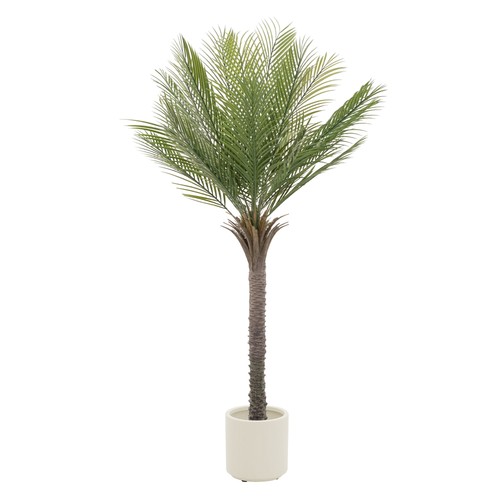Künstlicher palmenbaum - künstlicher,