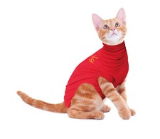 OP Body Katze - Medical Pet