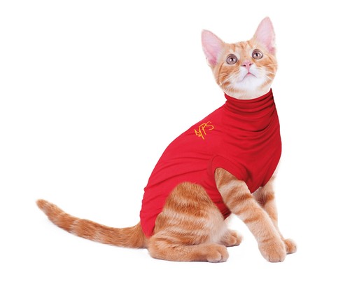 Body katze medical - op,