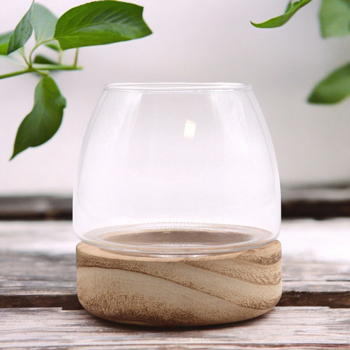 Mini terrarium auf - terrarium,