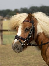 Busse Trense Little Größe