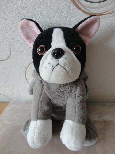 Französische bulldogge - französische,