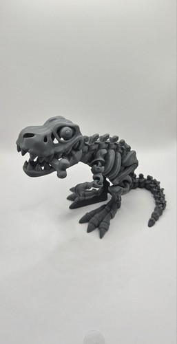 Dino rex knochen - t-rex,