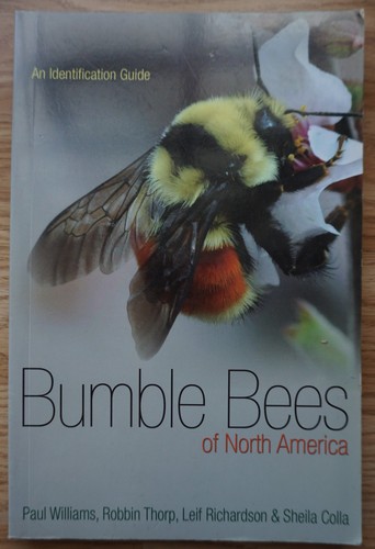 Bumble bees north america - bumble, of