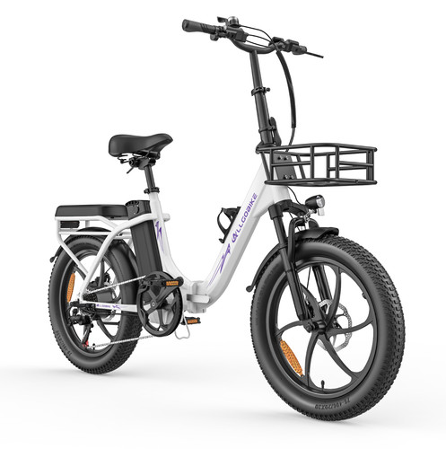 Zoll elektrofahrrad 750w - 20,