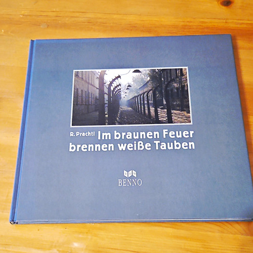 Benno braunen feuer - braunen,