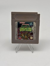 GB Nintendo Gameboy Teenage