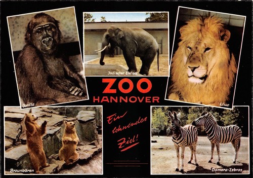 870770 mehrbildkarte zoo - 870770),