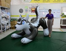 Husky Hund 2m lange PVC