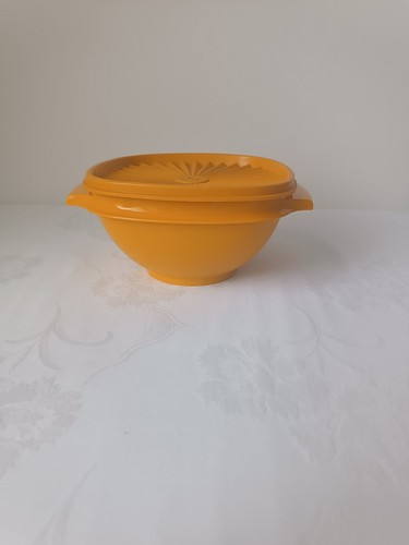 Tupperware party sonne l - party-sonne,