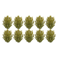 10x Büsche Sträucher Pflanze