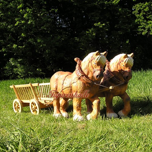 Leiterwagen heuwagen - leiterwagen,