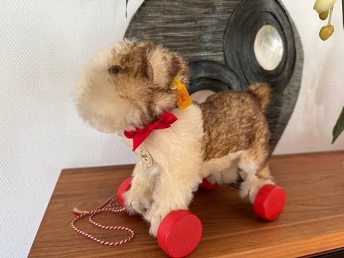 Steiff hund dog molly - hund, 1927
