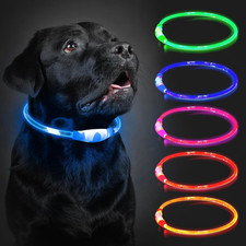 Leuchthalsband Hund Aufladbar