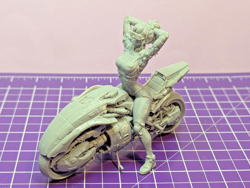 Cyberpunk bike girl nsfw - &,