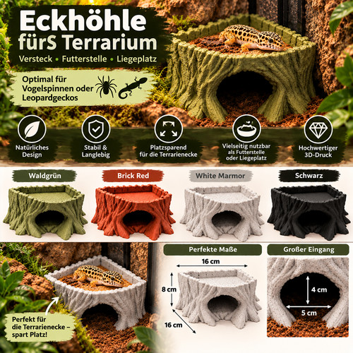 Eckhöhle terrarium - #16,