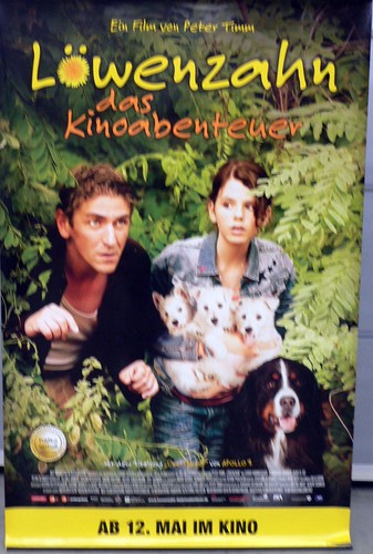 Löwenzahn banner - löwenzahn,