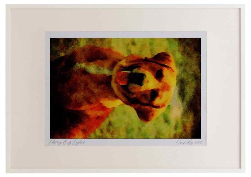 771018 hunde aquarell - 771018,