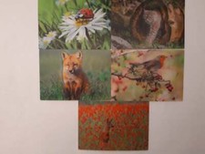 3 D Ansichtskarte Waldtiere Vogel Fuchs Postkarte Wackelkarte Hologrammkarte