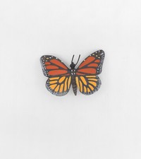 Safari Ltd. Monarchfalter -