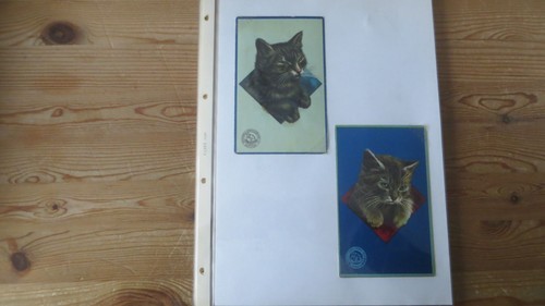 Nachlass katzen ansichtskarten - nachlass,