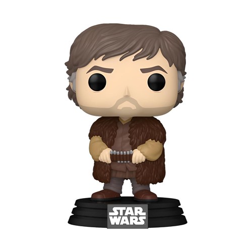 Gw0313 star wars pop vinyl - wars,