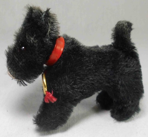 Hermann scotch terrier - scotch,