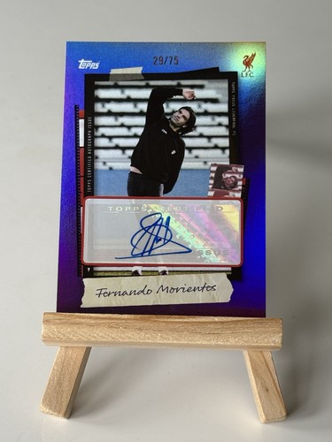 Topps focus liverpool 2025 - liverpool, 2025/26