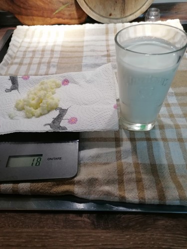 Milchkefir kefirpilz knollen - ,