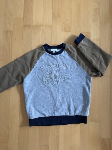 Lacoste jungen pullover - pullover, gr