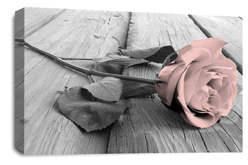 Floral rose wandbild - rose, grau