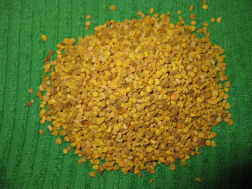 Premium blüten pollen - premium,