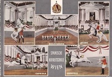 Postkarte - Wien / Spanische Hofreitschule (54)