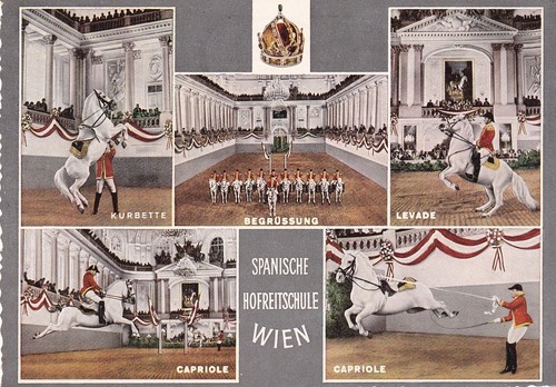 Postkarte wien spanische - wien,