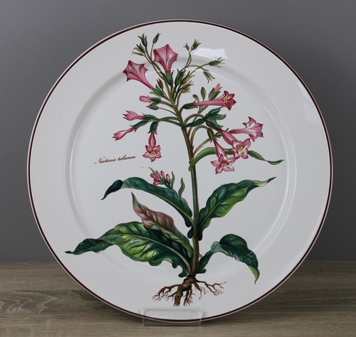 Villeroy boch b botanica - &,