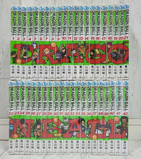 Dragon Ball Remake Version