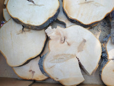 Baumscheibe Apfel 20-22 cm Bastelholz Holzscheiben Deko Epoxy Hochzeit Knabberho