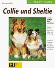 Collie und Sheltie richtig