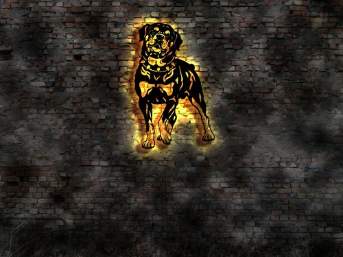 Rottweiler effekt led - 3d,